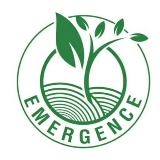 Logo Emergence RDC